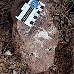 Chalcedony-bearing basalt from Hernandez Hill